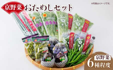 選りすぐり京野菜 旬の野菜セット 新鮮野菜 京都野菜 野菜 直送野菜