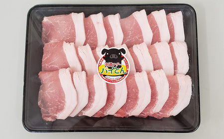 【計600g】あぐー豚「パイとん」 焼き肉用（ロース） あぐー豚 豚肉