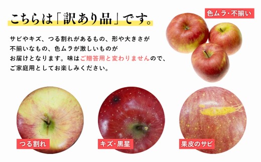 【5～6月発送】青森県産 訳あり 家庭用 甚八りんご 王林 3kg クール便【マルジンサンアップル】青森 青森県産 平川 りんご リンゴ 林檎 くだもの 果物 フルーツ