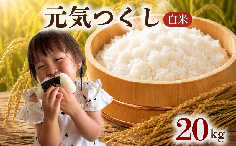 
                  【 令和8年度産 先行受付 】 元気つくし 20kg ブランド米 米 白米 国産 食味 白飯 ご飯 もちもち 特A評価 ひのひかり こめ お米 okome kome おむすび おにぎり弁当 美味しい 朝食 取り寄せ 魚 肉 の おかず にあう 福岡県 柳川市 宝物産
                