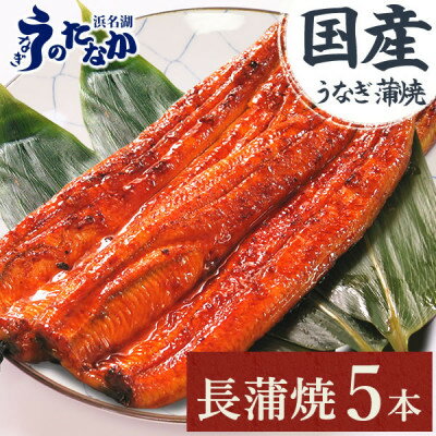 【ふるさと納税】浜名湖・うなぎのたなかのふっくら柔らか♪国産うなぎ見た目も美しい長蒲焼5本※合計450g程度_ 鰻 うなぎ 国産 蒲焼 浜名湖 老舗 人気 おすすめ 送料無料 贈答 ギフト 冷凍 うなぎのたなか 【配送不可地域：離島】【1417591】