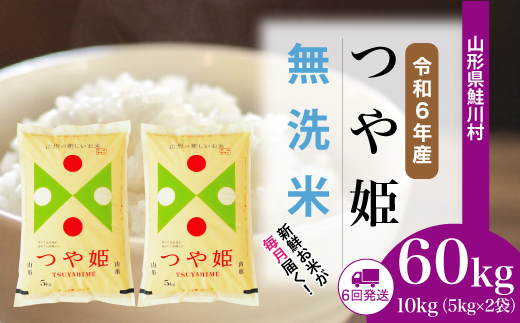 ＜令和6年産米＞山形県産 特別栽培米 つや姫【無洗米】60kg定期便(10kg×6回)　 配送時期指定できます！ 鮭川村