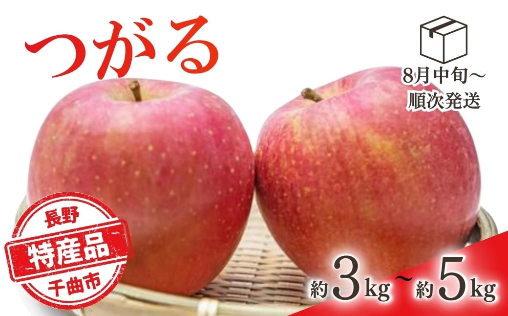 
                  【2026年先行予約】りんご つがる 約3kg / 5kg | りんご 林檎 リンゴ 信州りんご 長野県 千曲市
                