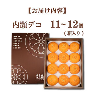 【不知火】 不知火 11～12個 アサヒ農園 【ASHN_002】