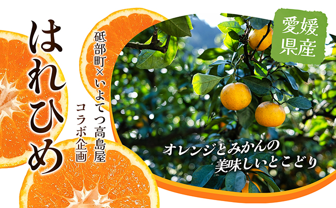 【数量限定 先行予約】愛媛県産 はれひめ 約5kg[50R0813] 【高島屋選定品】M～2L サイズ＜ギフト 甘味 濃厚 みかん フルーツ＞[No.53030336]