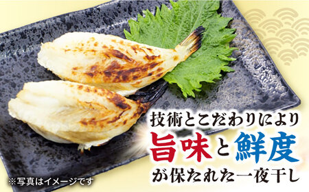ふぐ 一夜干 約1kg 大村市 株式会社ナガスイ[ACAB304]