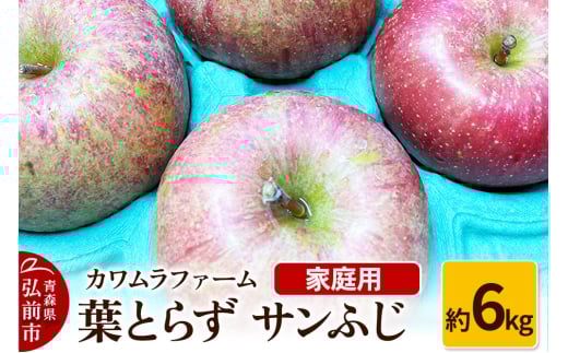 りんご【先行受付】葉とらず サンふじ 約6kg カワムラファーム 家庭用