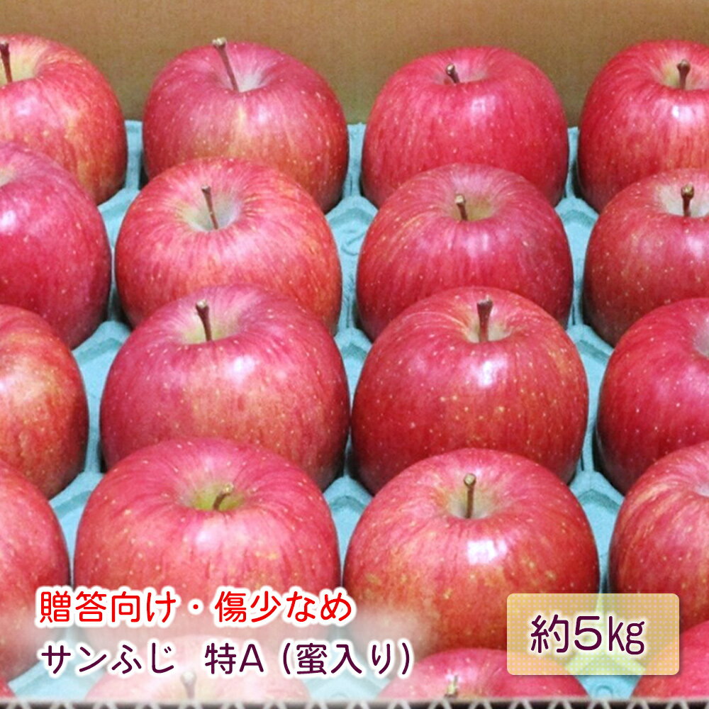 【ふるさと納税】[贈答向け・傷少なめ] サンふじ りんご 特A(蜜入り) 約5kg(20玉)｜青森産 つがる 津軽 リンゴ 林檎 果物 フルーツ サンフジ 2025年 令和7年 [0720]