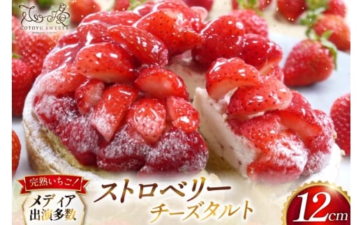 【期間限定】 いちご タルト ストロベリー チーズタルト 1ホール 12cm [心優-Cotoyu Sweets- 長崎県 平戸市 hr42bjo490190] 苺 イチゴ ケーキ スイーツ ご褒美 誕生日
