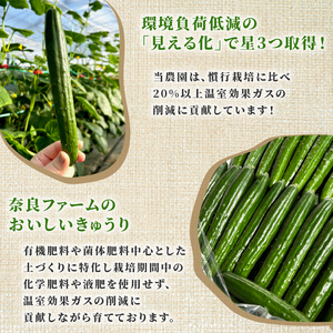 【2026年度発送 先行予約】 ＜産直＞きゅうり50本 野菜 野菜 野菜 野菜 きゅうり きゅうり きゅうり