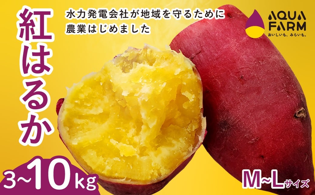 
            【選べる内容量】さつまいも 「べにはるか」 M～Lサイズ 3kg 5kg 10kg | 甘い 焼き芋 お取り寄せ 紅はるか スイーツ おやつ 秋の味覚 ギフト 糖度 自然の恵み やきいも 国産 子ども 産地直送 茨城県 常陸太田市
          