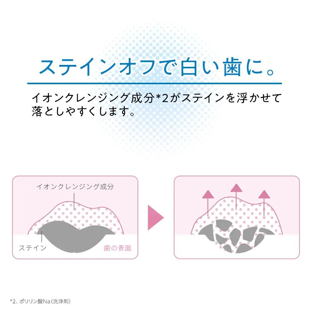LION ライオンオーラルケアセット ｜ 歯磨き 歯磨き