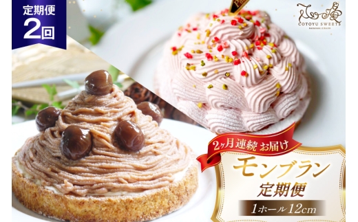 タルト モンブラン 1ホール 12cm 2回 定期便 [心優-Cotoyu sweets- 長崎県 平戸市 hr42bjo490181] スイーツ ケーキ 果物 フルーツ モンブランタルト 栗 いちご チーズ ホールケーキ ギフト 誕生日