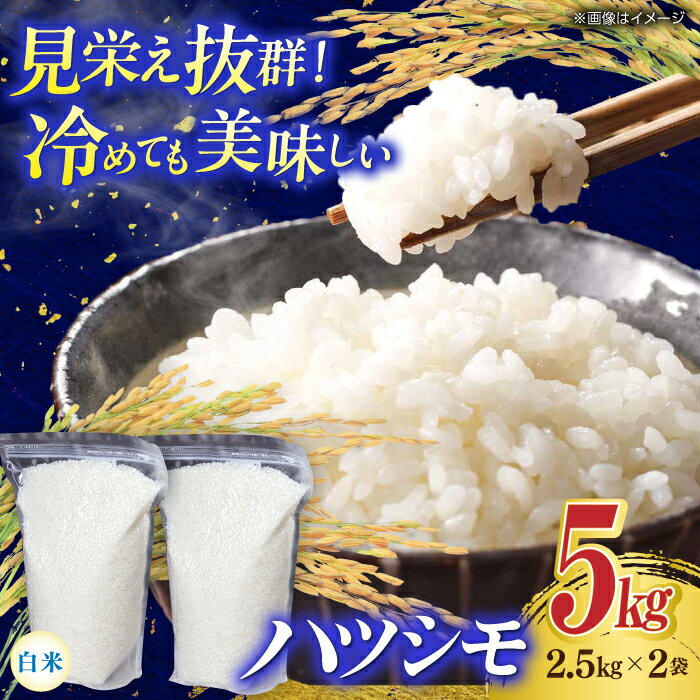 【ふるさと納税】【令和7年産】米 岐阜市産 ハツシモ 白米 5kg【2.5kg×2P】 お米 コメ 5キロ 米 こめ ごはん ご飯 精米 単一原料米 2025年産 新米 予約 ブランド米 幻の米 大粒 丼 カレー チャーハン おにぎり お弁当 2袋 人気 岐阜市/農事組合法人 下城田寺営農[ANEP003]