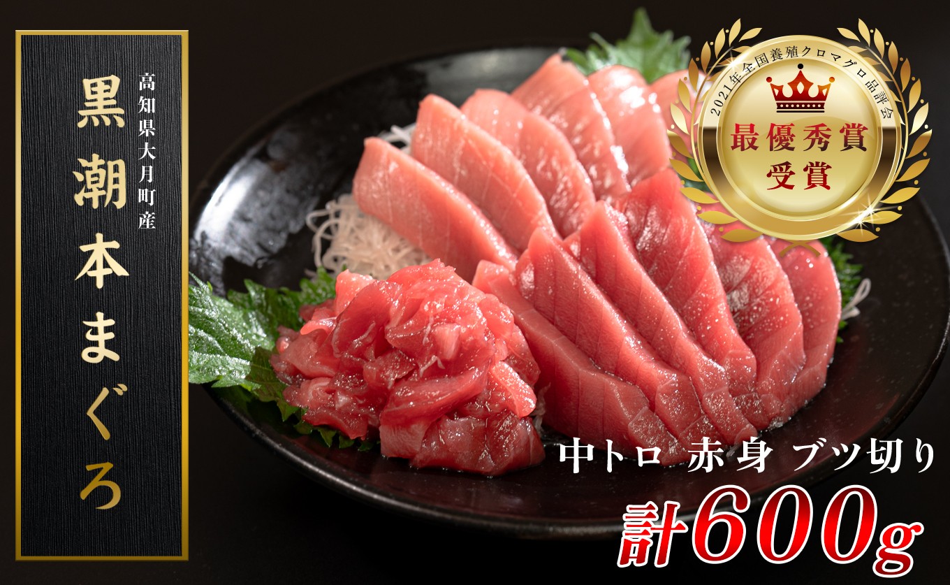 
                  訳あり 不定貫 国産 養殖本マグロ 中トロ・赤身・ブツ切り 3種 計600g 黒潮本まぐろ 全国養殖クロマグロ品評会 最優秀賞受賞 柵 刺身用 本マグロ クロマグロ 本鮪 まぐろ 鮪 お刺身 さしみ 中トロ トロ 赤身 ブツ切り ぶつ切り ネギトロ たたき ユッケ 海鮮丼 漬け丼 手巻き寿司 鉄火丼 まぐろ丼 小分け 個包装 真空パック 冷凍 不揃い 家庭用 海鮮 年末年始 高知県 2万円
                