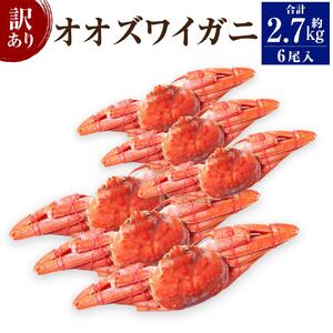 「訳あり」オオズワイガニボイル　6尾　合計約2.7kg ｜ オオズワイガニ