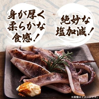 ふるさと納税 宮古市 【訳あり】岩手県宮古市産スルメイカの一夜干し　5枚セット |  | 01