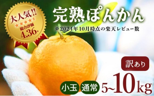 
                  ＜選べるサイズ・容量＞訳アリ完熟ぽんかん 5kg/10kg 国産 東洋町産 訳あり 甘酸っぱい ジューシー 高知県 東洋町 四国 お取り寄せ フルーツ 蜜柑 ミカン 果物 送料無料 産地直送
                