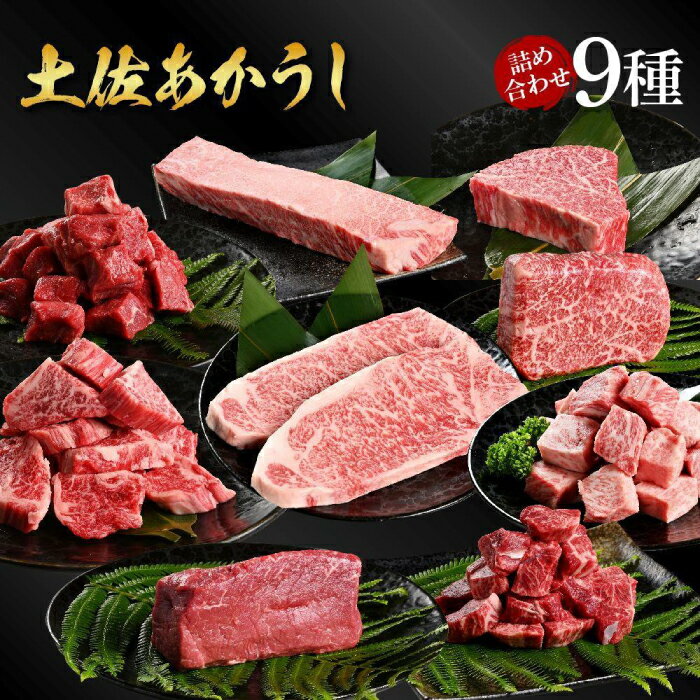 【ふるさと納税】熟成肉 土佐あかうし 詰め合わせ9種 【株式会社LATERAL】[ATAY078]