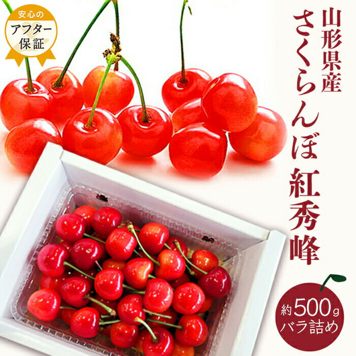 【ふるさと納税】 紅秀峰 500g 「秀品」 山形 の さくらんぼ (L玉以上・化粧箱・バラ詰) 【2025年6月〜7月発送分先行受付】 先行予約 ふるさと納税 さくらんぼ ふるさと納税 さくらんぼ 紅秀峰 フルーツ 果物 ふるさと 人気 ランキング 令和7年 2025 H045(R7)