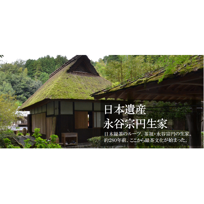 煎茶ティーバッグ　やんたん　25P×3缶〈煎茶 緑茶 お茶 茶 ティバッグ ティーパック 加工食品〉_イメージ3
