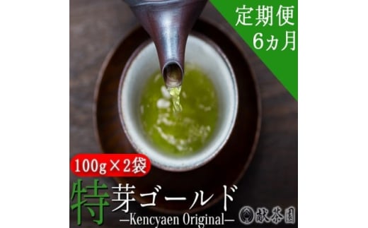 定期便 6ヶ月 献茶園 オリジナル 深蒸し茶 特芽ゴールド 100g×2袋 八女茶 6回 お茶 茶 緑茶