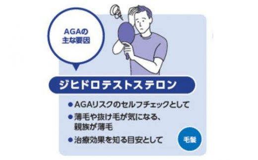 毛髪ホルモン量測定キット DHT AGA 薄毛 男性型脱毛症 男性ホルモン 対策 髪 検査 テストステロン ジヒドテストステロン 脱毛 うすげ 薄毛対策 毛髪 髪の毛 頭髪 地毛 株式会社あすか製薬メ