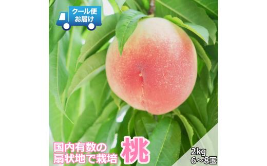 ＜2026年発送先行予約＞クール便 収穫当日に発送 【桃】2kg（6～8玉） ALPDG014