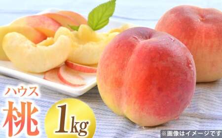 ハウスもも 約1kg（品種おまかせ）旬の桃 桃 もも 旬 果物 くだもの フルーツ 果実 デザート 【2026年5月下旬～6月上旬発送予定】