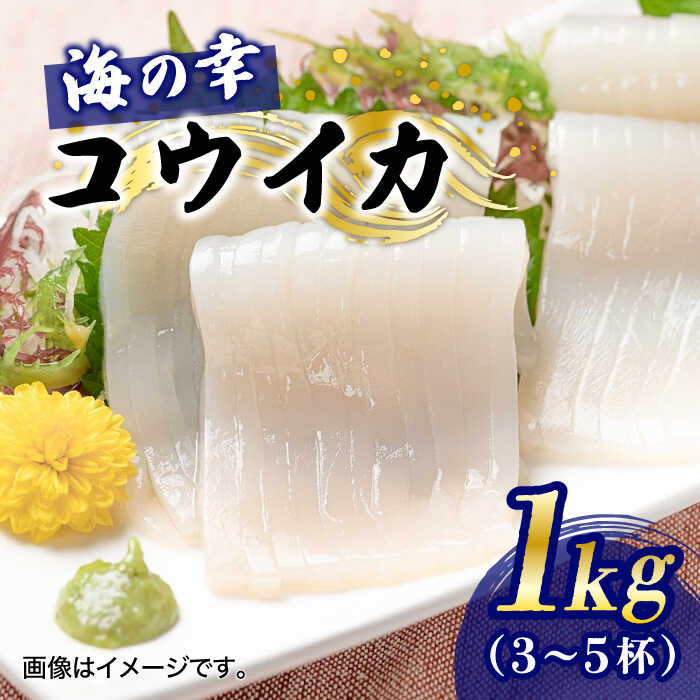 【ふるさと納税】【先行予約】築上町で捕れた「 コウイカ 」約1kg (3〜5杯)【2027年3月下旬以降順次発送】《築上町》【明青丸】 [ABCB001] 10000円