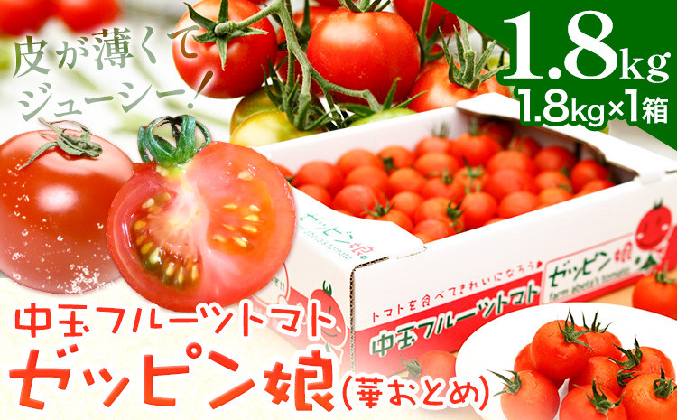 
            中玉フルーツトマト ゼッピン娘 1.8kg ×1箱 《10月中旬～5月末頃出荷》希少な品種 華おとめ 甘い 野菜 結城市産 ゼッピン娘 華おとめ 中玉品種 皮が薄い 薄皮 サラダ 前菜 食材 料理
          