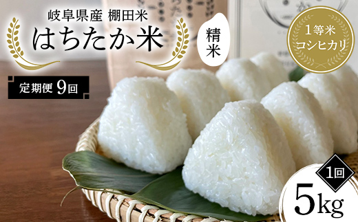 【9回定期便】岐阜県産 棚田米 1等米コシヒカリ はちたか米 精米5kg F4N-2583