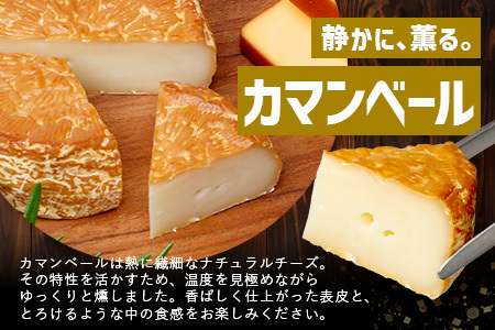 スモークチーズ 3種 セット 約960g（プレーン180g×2・チェダー180g×2・カマンベール120g×2）TM-003│チーズ 国産 詰め合わせ おつまみ 燻製 冷蔵 チェダーチーズ カマンベー