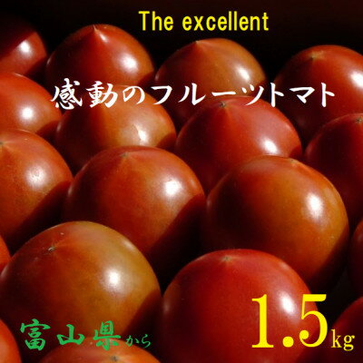 【ふるさと納税】フルーツトマト(深層水トマト)1.5キロ【配送不可地域：離島】【1287333】