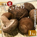 【ふるさと納税】昔なつかしい 原木生しいたけ 椎茸 シイタケ 濃厚 香り 旨みたっぷり だし うまみ ワンランク上 F21K-012