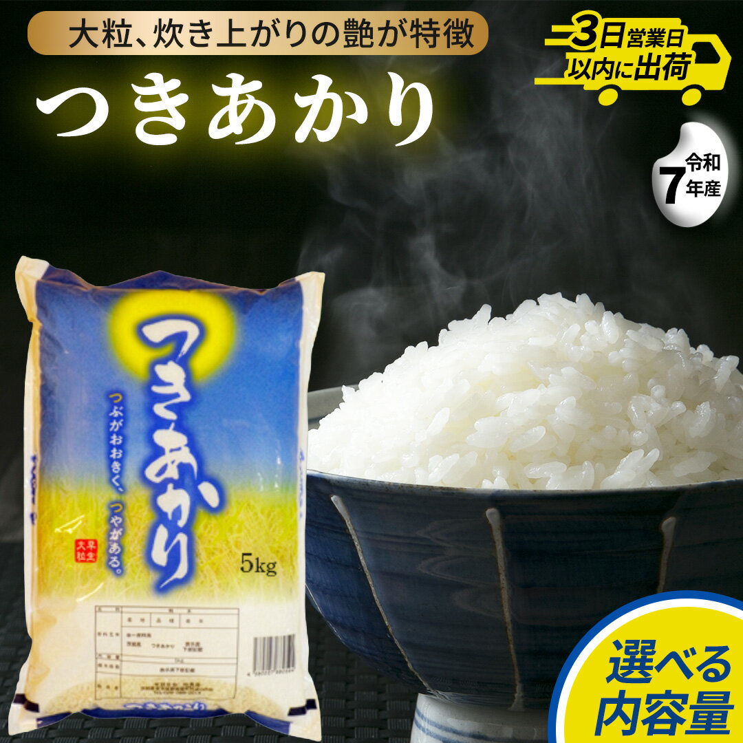 【ふるさと納税】つきあかり 精米 5kg 10kg (5kg×2袋) 20kg (5kg×4袋) 関東地方限定配送 令和7年産 スピード出荷 最短3～7営業日出荷 精米 米 コメ こめ 単一米 限定 国産 美味しい お米 おこめ おコメ 茨城県