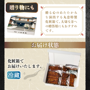 a48-010　鰻蒲焼真空パック〈5人前〉（1人前 115ｇ～125ｇ）