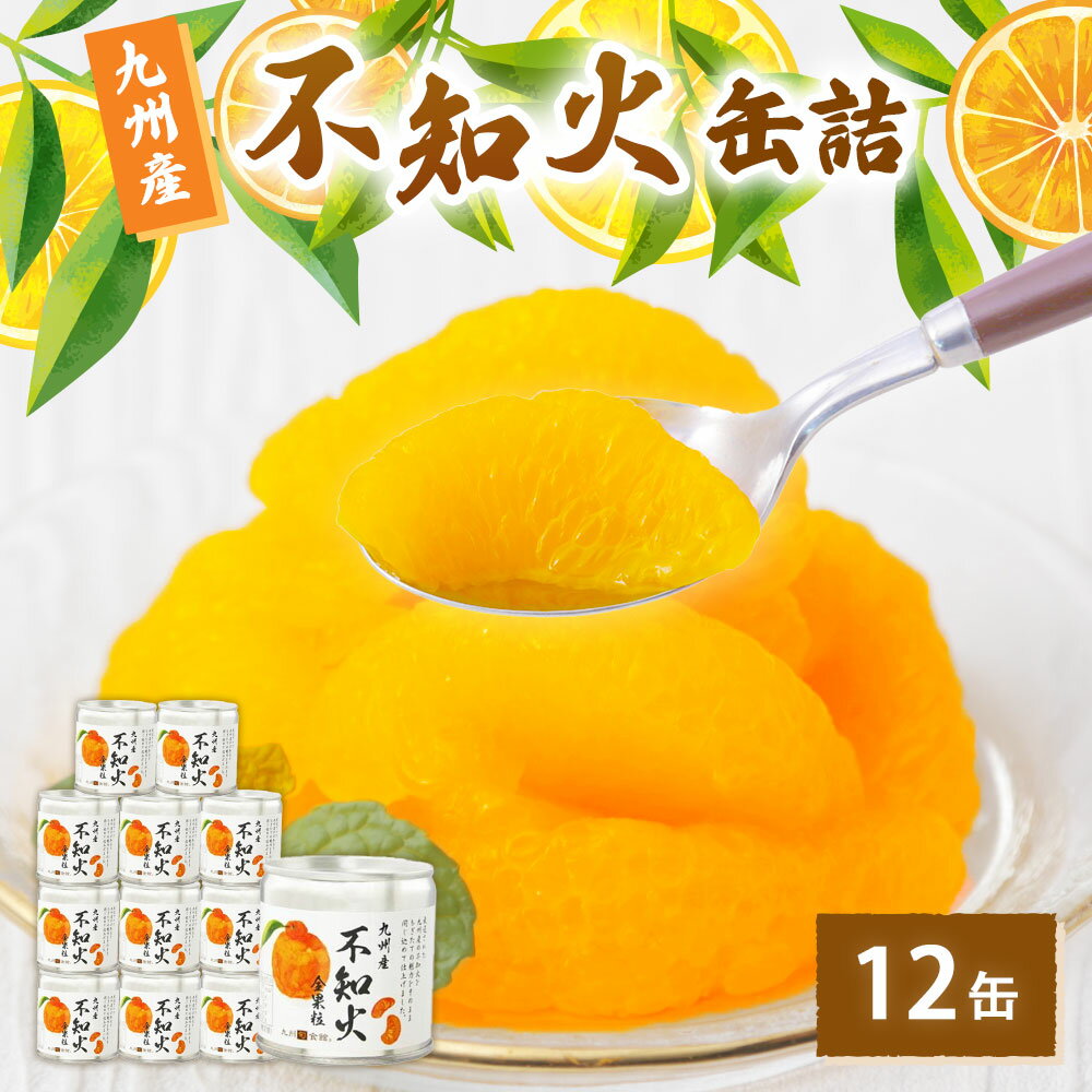 【ふるさと納税】不知火缶詰 12缶入 しらぬい シラップ