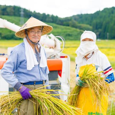ふるさと納税 関川村 【毎月定期便】関川村産こしひかり5kg ふっくら美味しさ 岩船米 [横山農産]全12回