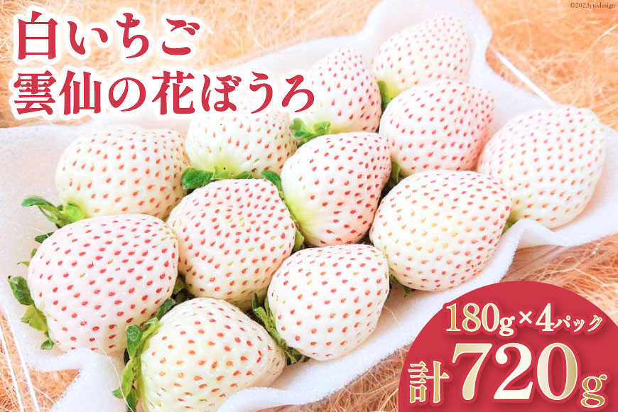 
【期間限定発送】 いちご 白いちご 雲仙の花ぼうろ 180g✕4パック [トトノウ 長崎県 雲仙市 item1415] 苺 イチゴ 白いちご フルーツ 果物 くだもの 期間限定 季節限定
