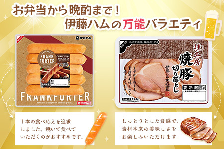 伊藤ハム あると便利なバラエティ詰め合わせ【伊藤ハム 簡単 便利 レンチン 手軽 お弁当 おやつ おつまみ ハンバーグ ミートボール ハム 単身】 A2-F021011