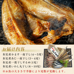 【隔月6回】一夜干し4種詰合せ定期便《カマス・アジ・イワシ・スルメイカ》 富山県 氷見市 定期便 干物 かます あじ 鰯 いわし いか おかず 一品