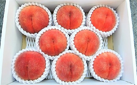 桃（川中島）６～１１玉【３ｋｇ箱に２.７～３.３ｋｇ詰め】　0056-2417