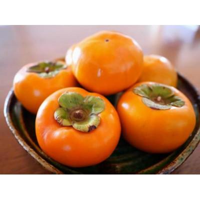 ふるさと納税 城里町 【2025年10月より順次発送予定】富有柿　3kg(県内共通返礼品:石岡市産)