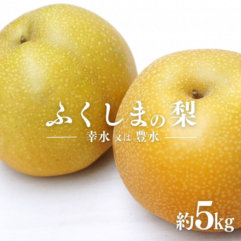 No.2043 【2025年発送分】ふくしまの梨　約５kg（幸水または豊水）