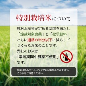 令和7年産　特別栽培米コシヒカリ　10kg(5kg×2袋)【1695258】