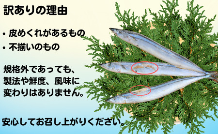 訳あって さんま丸干 40本 分け合って 訳あり さんま 丸干し 40尾 冷凍 さんま サンマ 秋刀魚 無添加 国産 国産さんま 国内加工 銚子 海の幸 海鮮 干物 冷凍 新鮮 贈り物 お取り寄せ グ