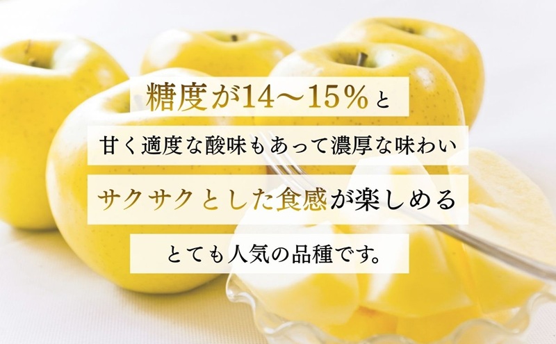 りんご シナノゴールド 3kg 贈答用 信州 フルーツ 果物　林檎 リンゴ くだもの 旬の果物 旬のフルーツ 信州産 長野県産 長野 長野県 上田市