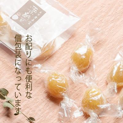 ふるさと納税 恵那市 栗がまるごと一粒スイーツ栗納豆 5粒入 2箱 |  | 01
