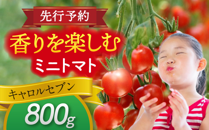 ミニトマト (キャロルセブン)800g トマト 野菜 新鮮 期間限定トマト 愛西市 / 株式会社石原農園[AEBG005]